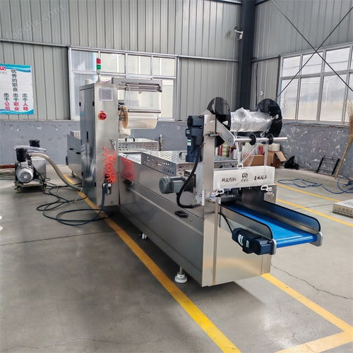 探索DZR520玉米漿包拉伸膜真空包裝機(jī)的卓越性能與聯(lián)達(dá)機(jī)械的專(zhuān)業(yè)服務(wù)